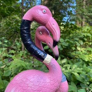 Meet your Posher, Deanne